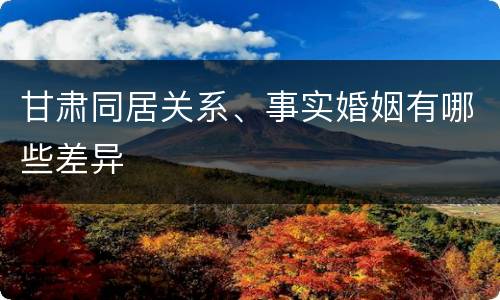 甘肃同居关系、事实婚姻有哪些差异