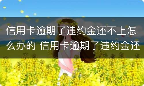 信用卡逾期了违约金还不上怎么办的 信用卡逾期了违约金还不上怎么办的呢