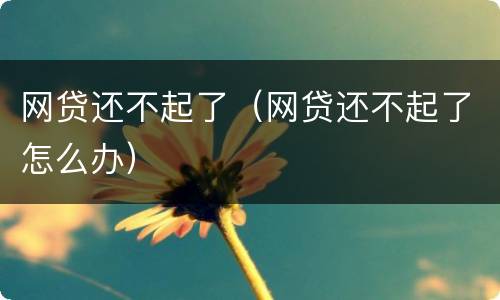 网贷还不起了（网贷还不起了怎么办）
