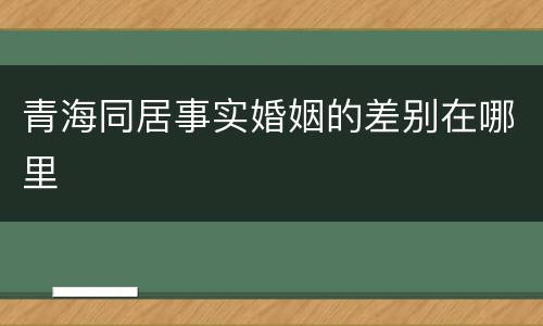 青海同居事实婚姻的差别在哪里