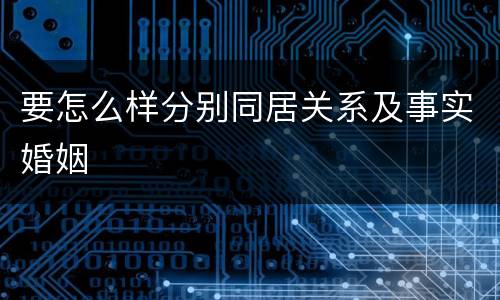 要怎么样分别同居关系及事实婚姻