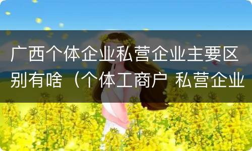 广西个体企业私营企业主要区别有啥（个体工商户 私营企业 区别）