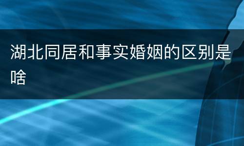 湖北同居和事实婚姻的区别是啥