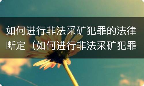 如何进行非法采矿犯罪的法律断定（如何进行非法采矿犯罪的法律断定规定）