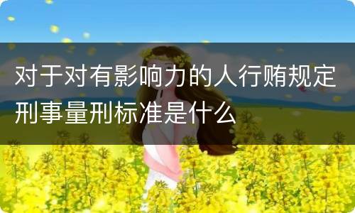 对于对有影响力的人行贿规定刑事量刑标准是什么