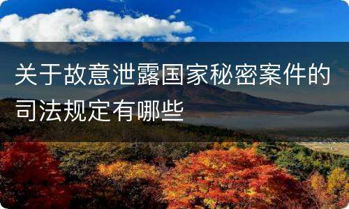 关于故意泄露国家秘密案件的司法规定有哪些