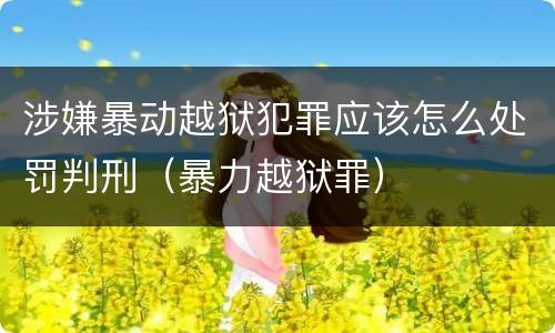 涉嫌暴动越狱犯罪应该怎么处罚判刑（暴力越狱罪）