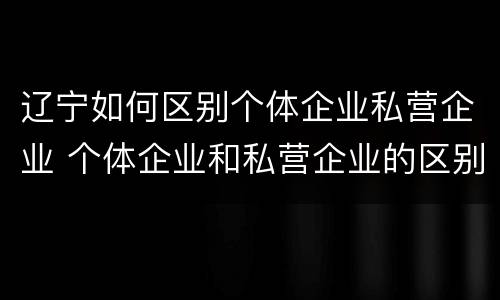 辽宁如何区别个体企业私营企业 个体企业和私营企业的区别