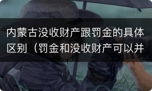 内蒙古没收财产跟罚金的具体区别（罚金和没收财产可以并处吗）