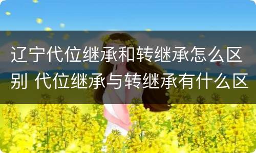 辽宁代位继承和转继承怎么区别 代位继承与转继承有什么区别