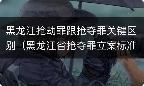 黑龙江抢劫罪跟抢夺罪关键区别（黑龙江省抢夺罪立案标准）