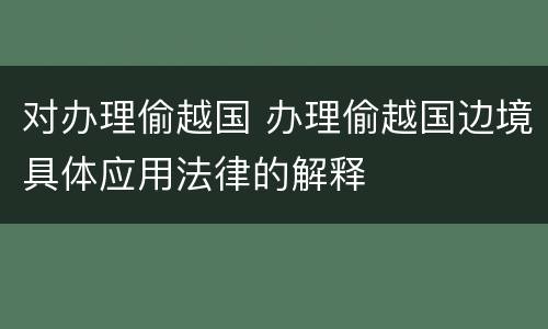 对办理偷越国 办理偷越国边境具体应用法律的解释