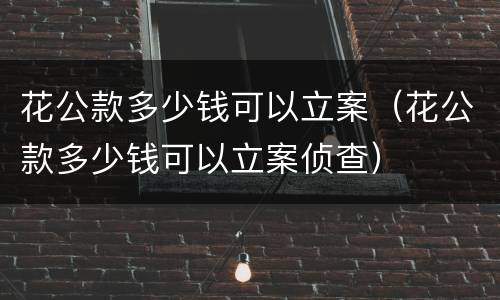 花公款多少钱可以立案（花公款多少钱可以立案侦查）