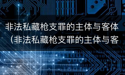 非法私藏枪支罪的主体与客体（非法私藏枪支罪的主体与客体区别）