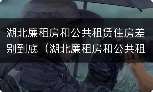 湖北廉租房和公共租赁住房差别到底（湖北廉租房和公共租赁住房差别到底多大）
