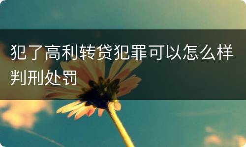 犯了高利转贷犯罪可以怎么样判刑处罚