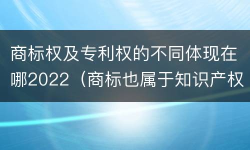 商标权及专利权的不同体现在哪2022（商标也属于知识产权）