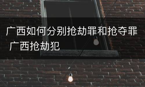 广西如何分别抢劫罪和抢夺罪 广西抢劫犯