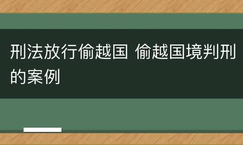 刑法放行偷越国 偷越国境判刑的案例