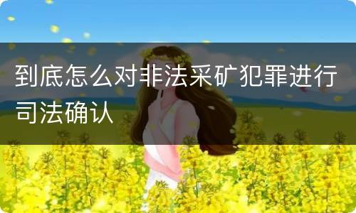 到底怎么对非法采矿犯罪进行司法确认
