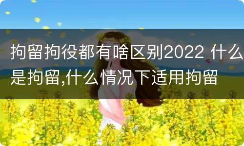 拘留拘役都有啥区别2022 什么是拘留,什么情况下适用拘留