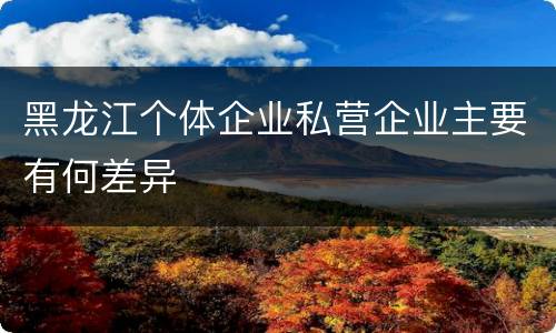 黑龙江个体企业私营企业主要有何差异
