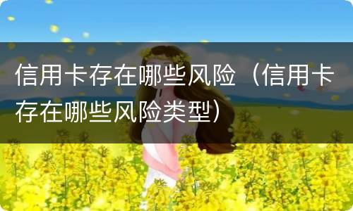 信用卡存在哪些风险（信用卡存在哪些风险类型）