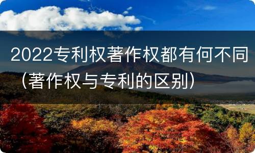 2022专利权著作权都有何不同（著作权与专利的区别）