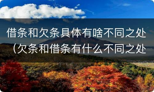 借条和欠条具体有啥不同之处（欠条和借条有什么不同之处）