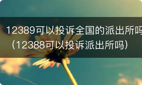 12389可以投诉全国的派出所吗（12388可以投诉派出所吗）