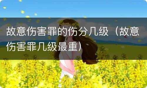 故意伤害罪的伤分几级（故意伤害罪几级最重）