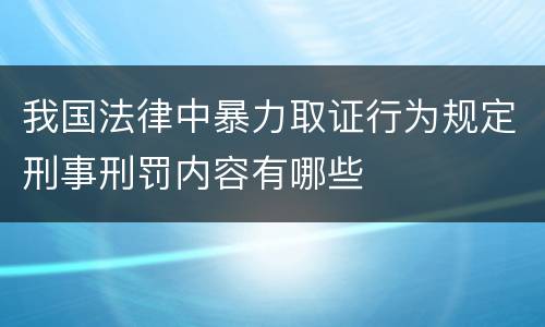 我国法律中暴力取证行为规定刑事刑罚内容有哪些
