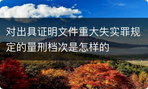 对出具证明文件重大失实罪规定的量刑档次是怎样的