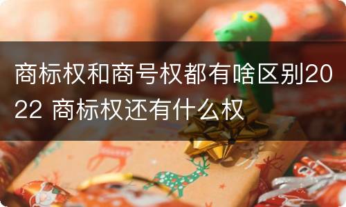 商标权和商号权都有啥区别2022 商标权还有什么权