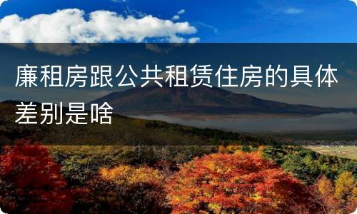 廉租房跟公共租赁住房的具体差别是啥