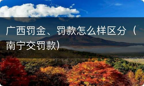 广西罚金、罚款怎么样区分（南宁交罚款）
