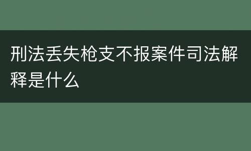 刑法丢失枪支不报案件司法解释是什么