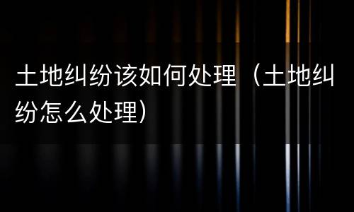 土地纠纷该如何处理（土地纠纷怎么处理）