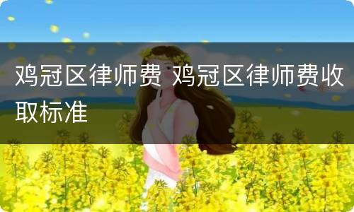 鸡冠区律师费 鸡冠区律师费收取标准