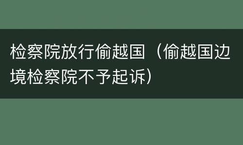 检察院放行偷越国（偷越国边境检察院不予起诉）