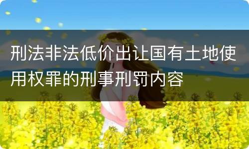 刑法非法低价出让国有土地使用权罪的刑事刑罚内容