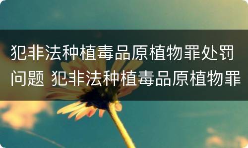 犯非法种植毒品原植物罪处罚问题 犯非法种植毒品原植物罪处罚问题