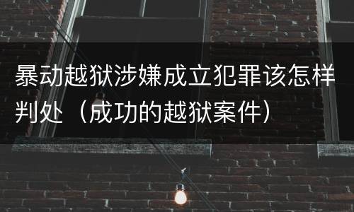 暴动越狱涉嫌成立犯罪该怎样判处（成功的越狱案件）