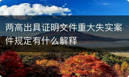 两高出具证明文件重大失实案件规定有什么解释