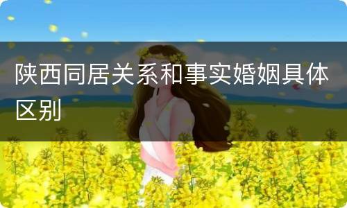 陕西同居关系和事实婚姻具体区别
