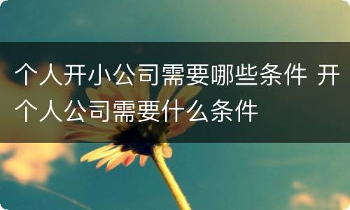 个人开小公司需要哪些条件 开个人公司需要什么条件