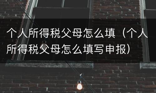 个人所得税父母怎么填（个人所得税父母怎么填写申报）