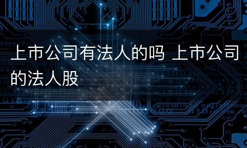 上市公司有法人的吗 上市公司的法人股