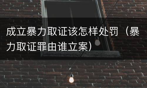 成立暴力取证该怎样处罚（暴力取证罪由谁立案）