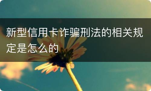 新型信用卡诈骗刑法的相关规定是怎么的